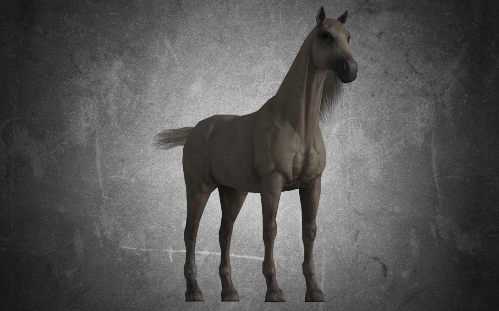 Horse - D11-D12 3D model_17