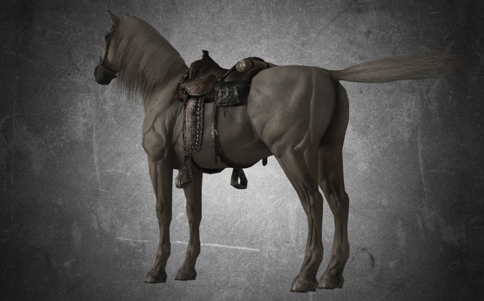 Horse - D11-D12 3D model_14