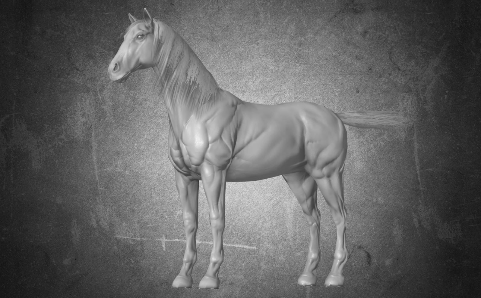 Horse - D11-D12 3D model_9