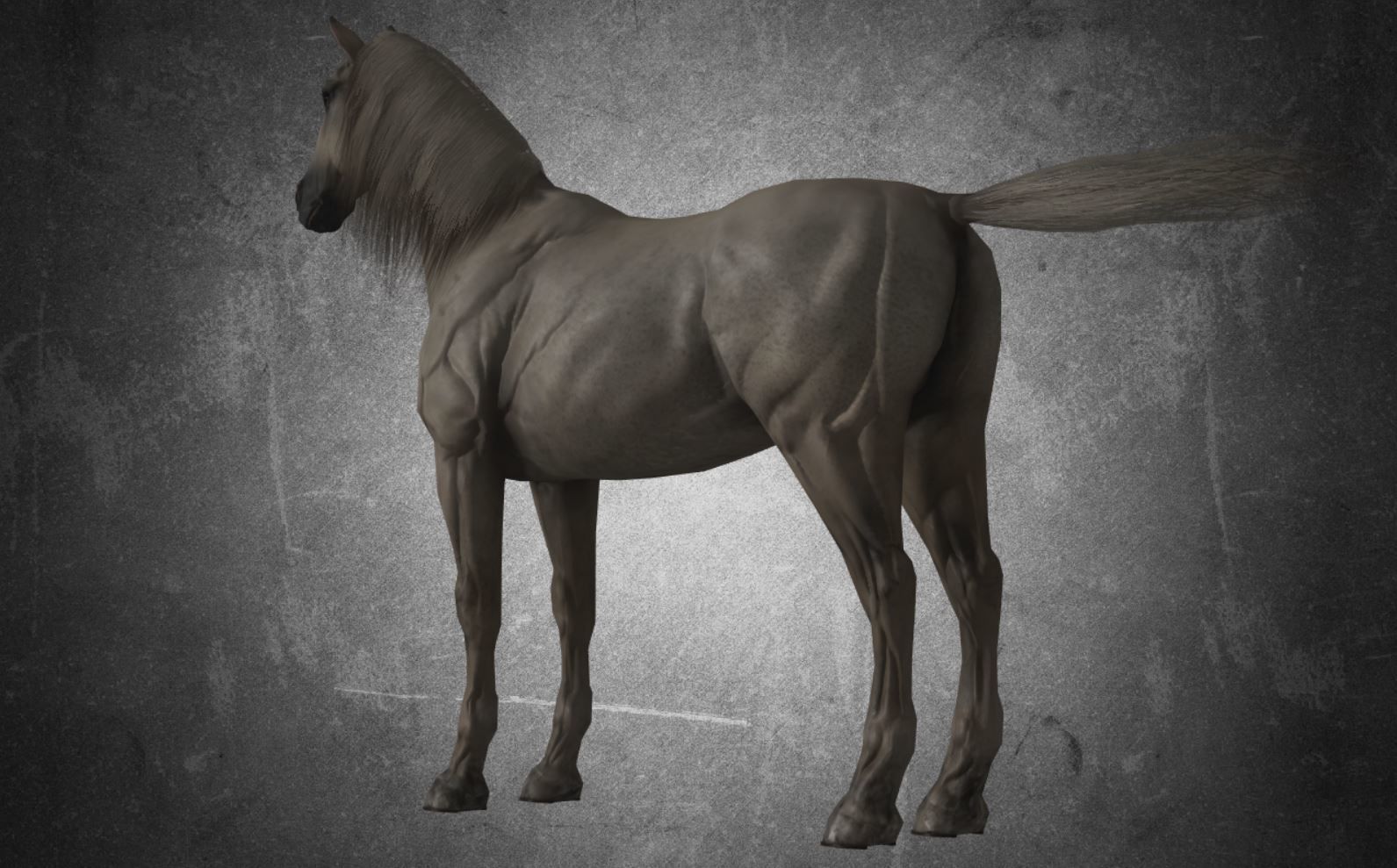 Horse - D11-D12 3D model_15