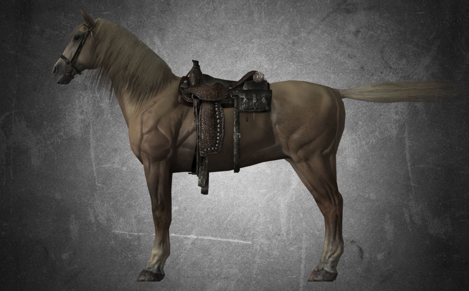 Horse - D13 3D model_6