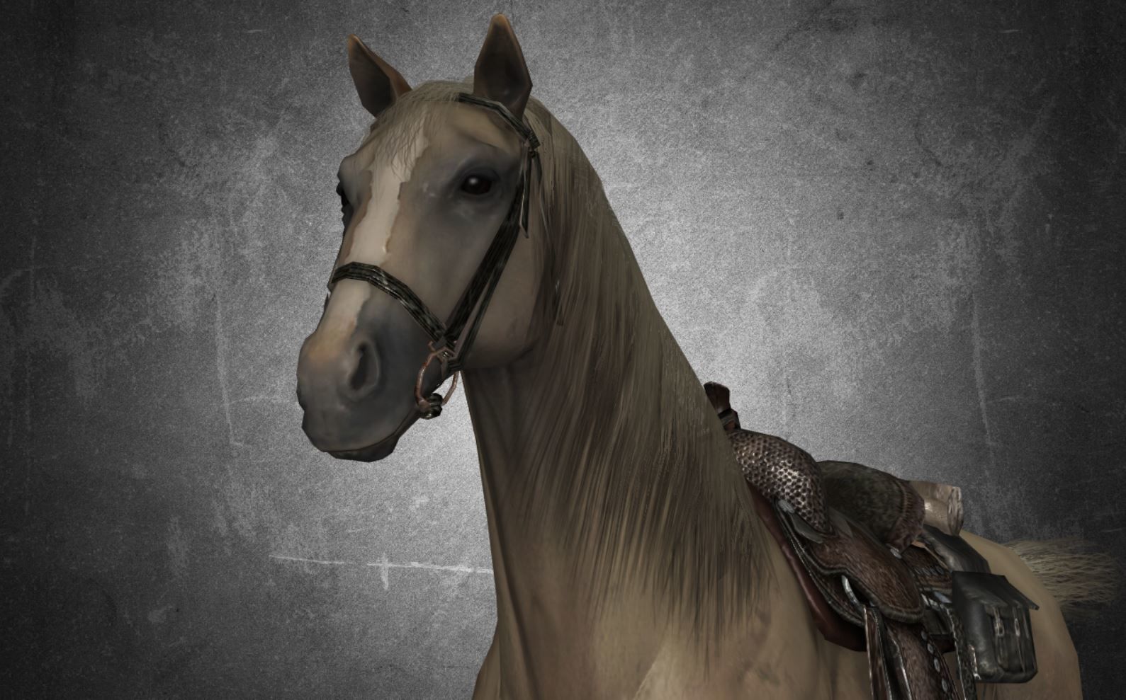 Horse - D13 3D model_9