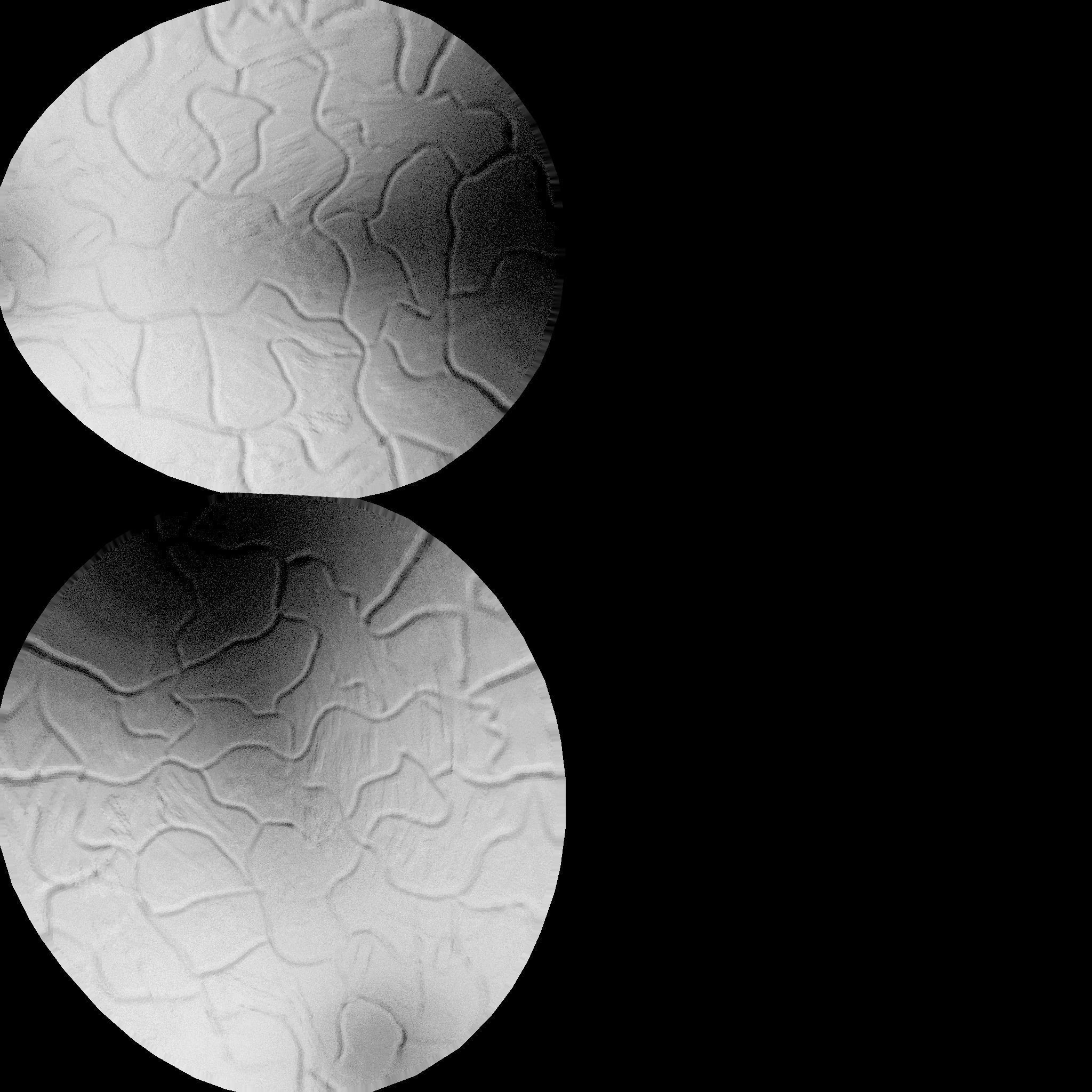 Dragon Egg Low-poly 3D model_7