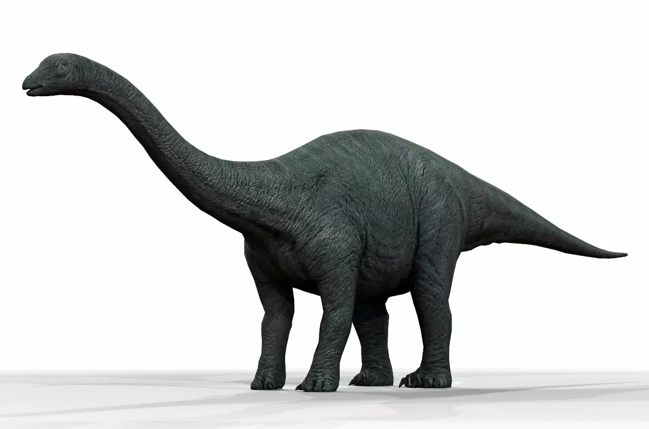 Dinosaur 14 Low-poly 3D model_0