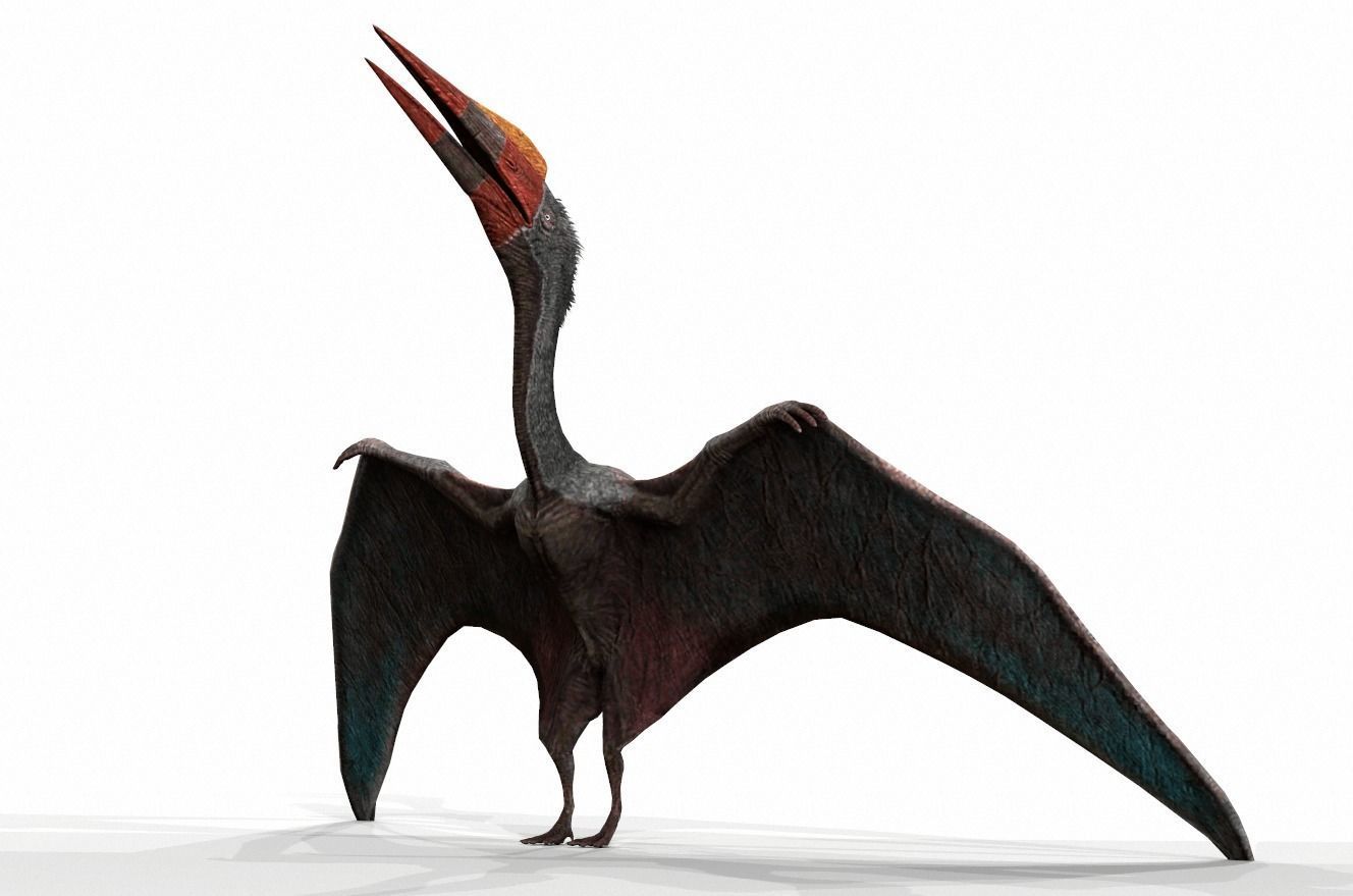 Dinosaur 15 Low-poly 3D model_1