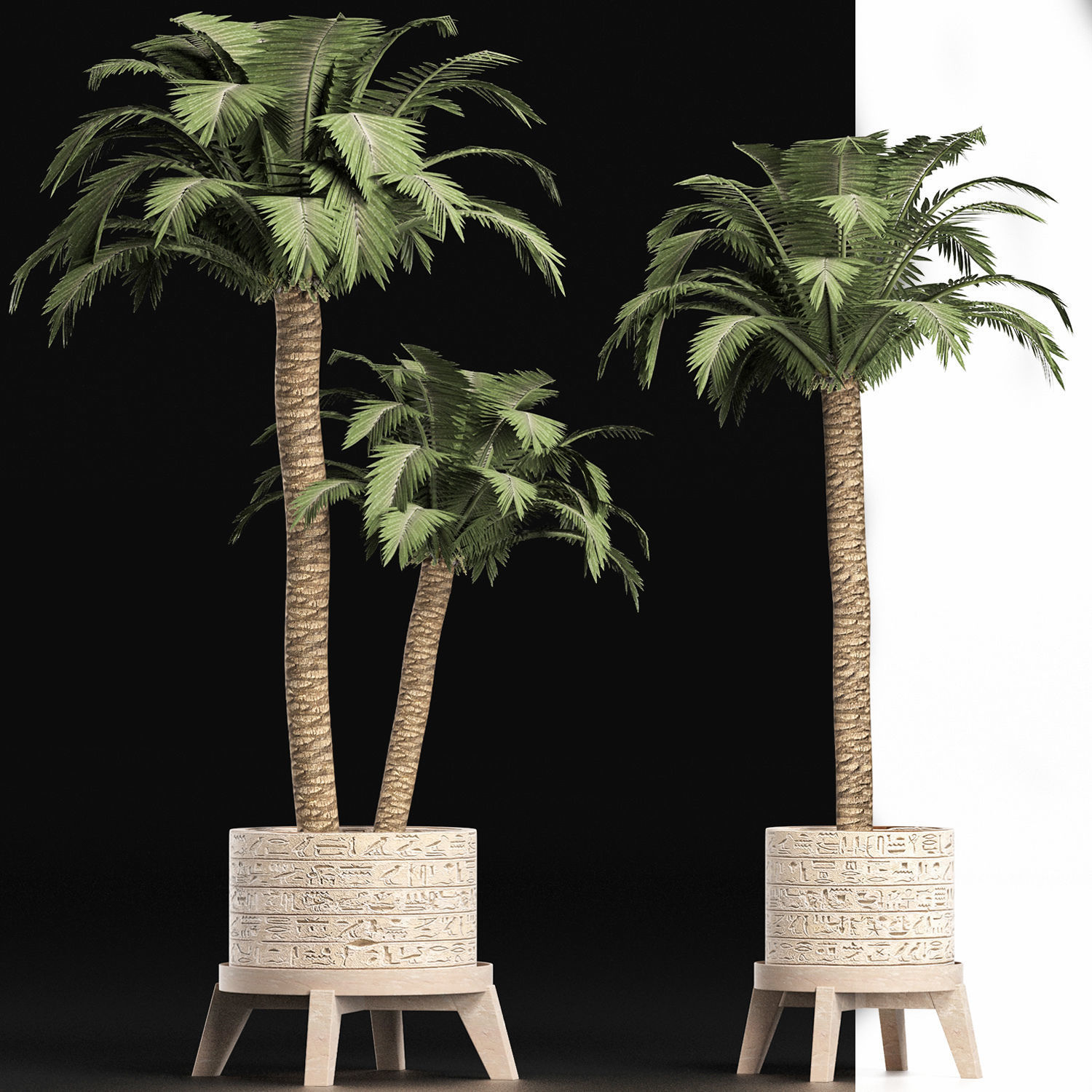 Plants Collection 159 Egyptian Plants 3D model_4