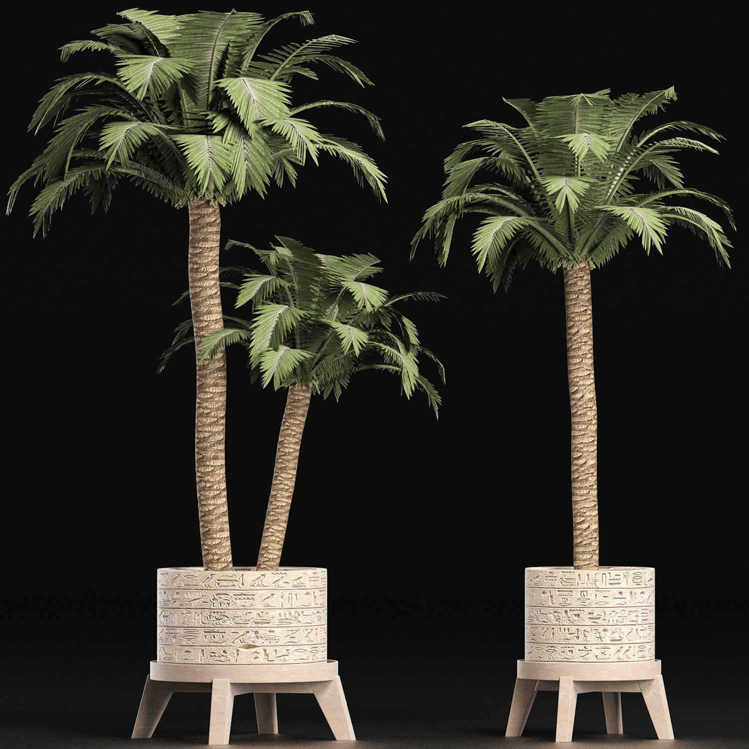 Plants Collection 159 Egyptian Plants 3D model_2