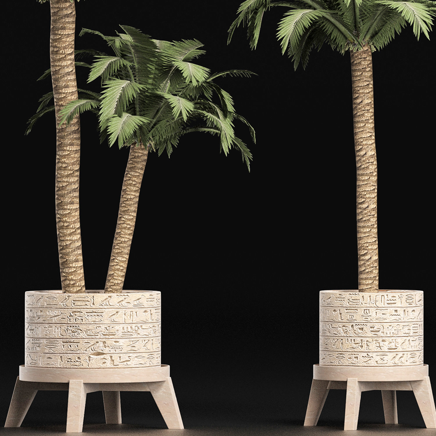 Plants Collection 159 Egyptian Plants 3D model_3