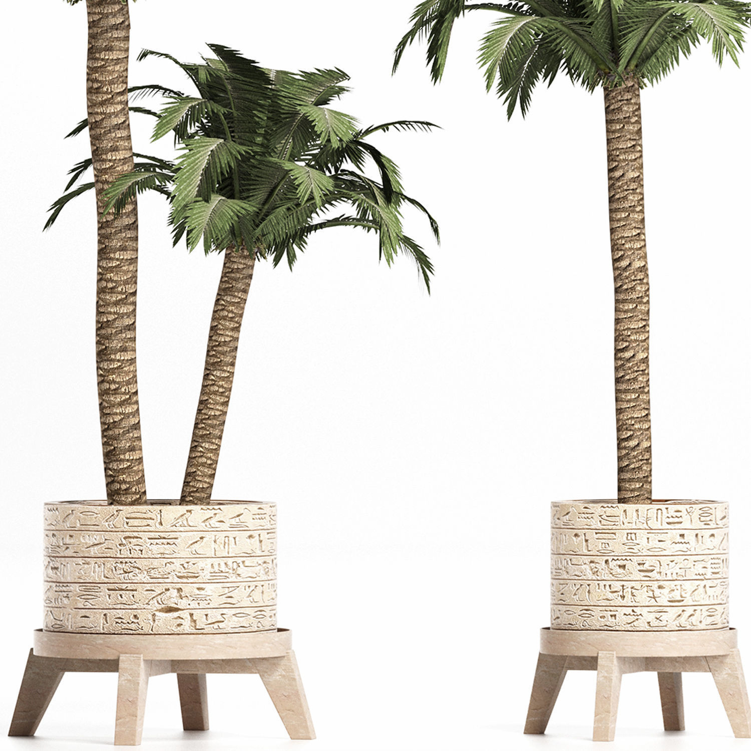 Plants Collection 159 Egyptian Plants 3D model_1