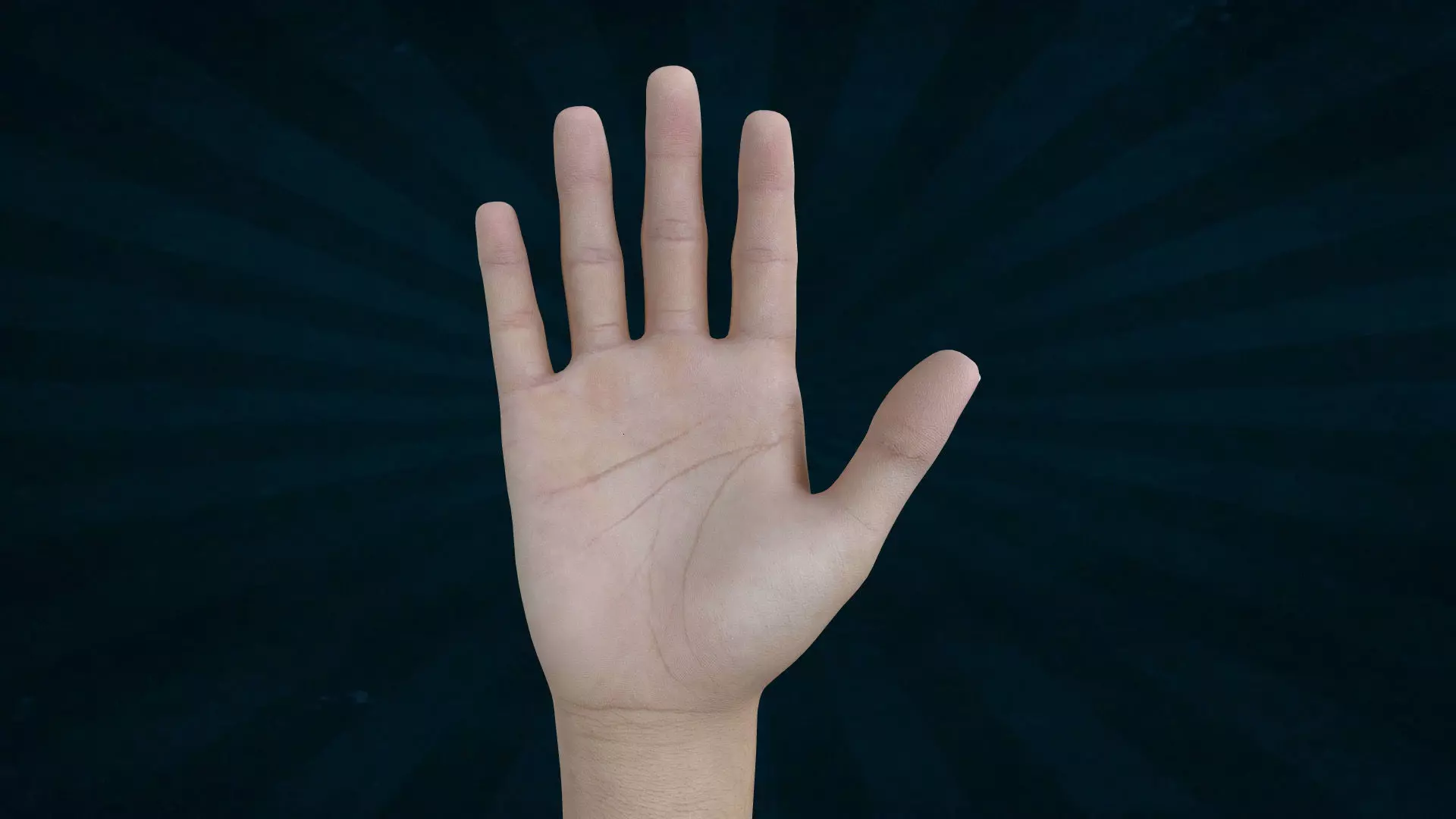 HAND-021 Rigged Right Hand 3D model