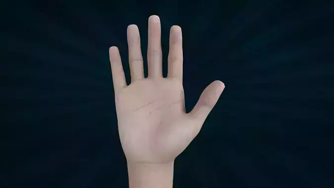 HAND-021 Rigged Right Hand 3D model