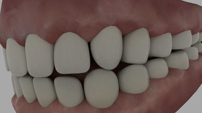 Human teeth and tongue Low-poly 3D model