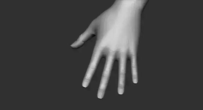 Realistic Female hand