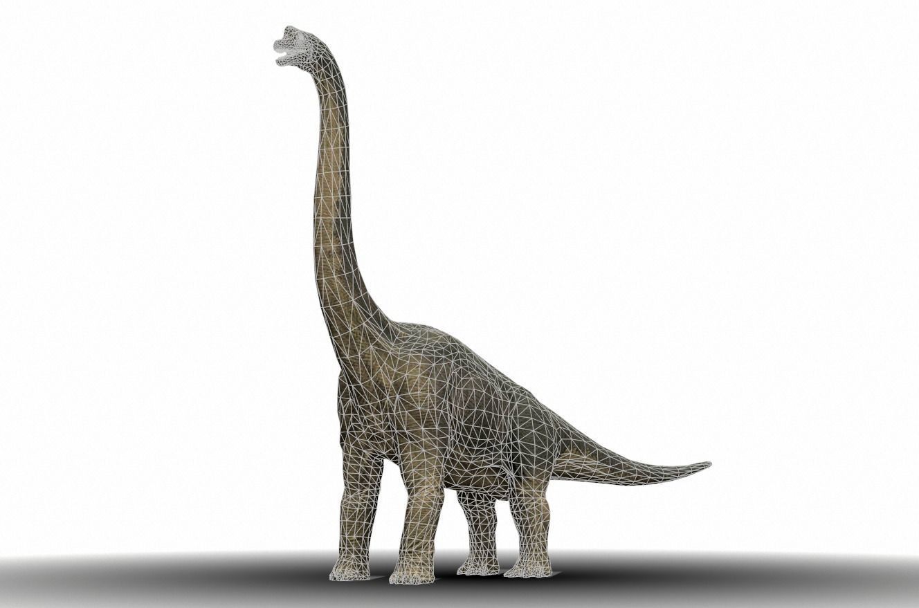 Dinosaur 23 Low-poly 3D model_1