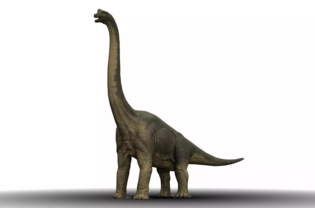 Dinosaur 23 Low-poly 3D model_0