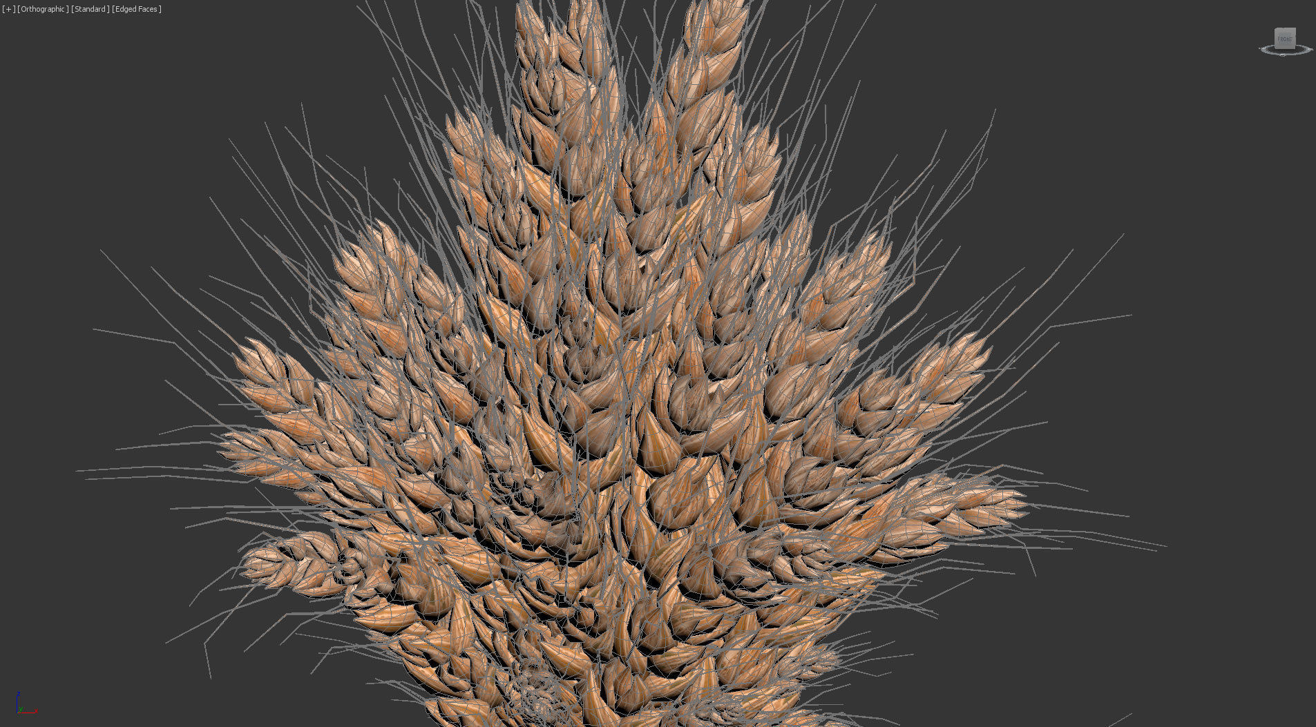 Composition with wheat Low-poly 3D model_8
