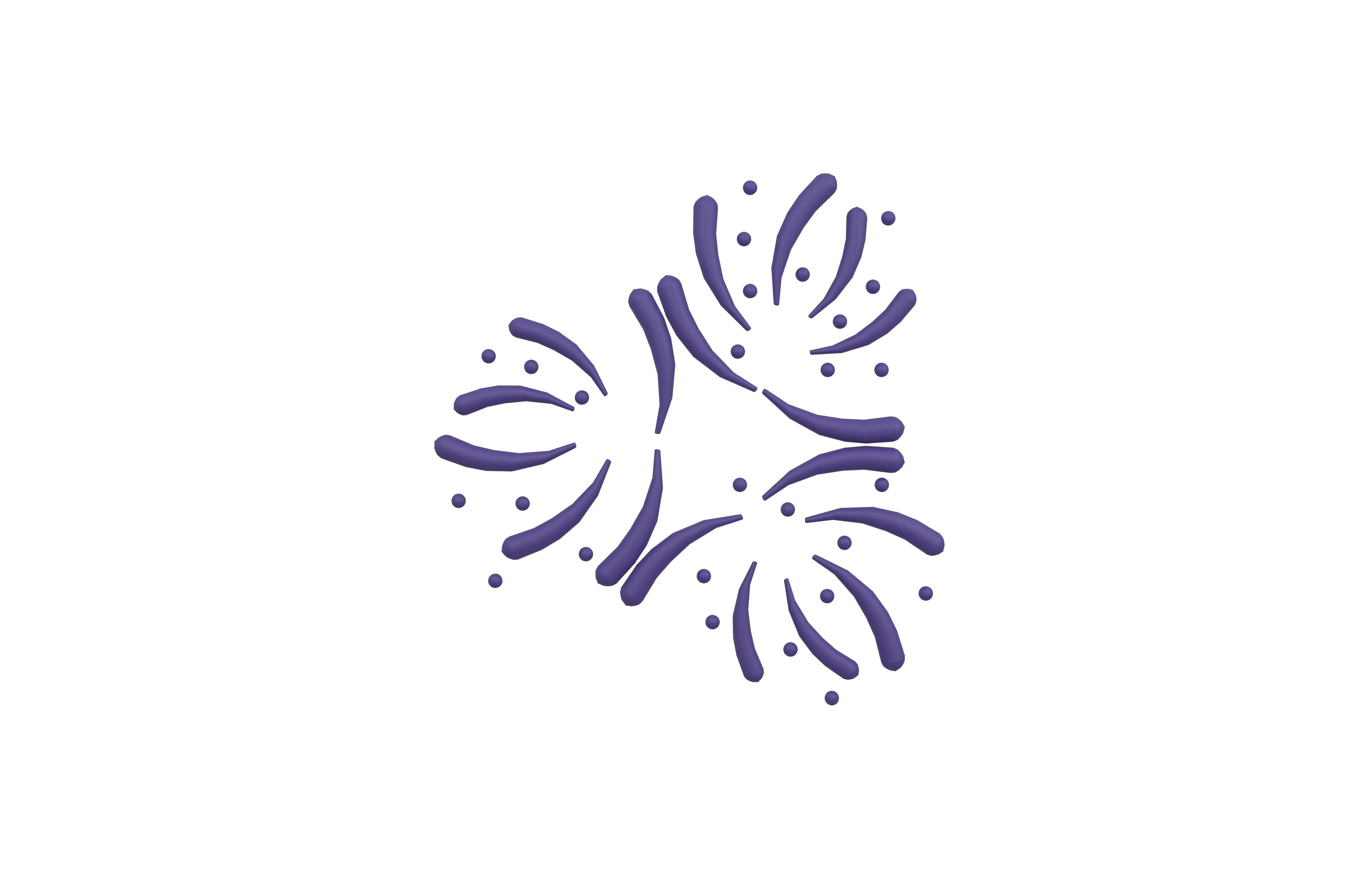 Fireworks v2 010 Low-poly 3D model_1