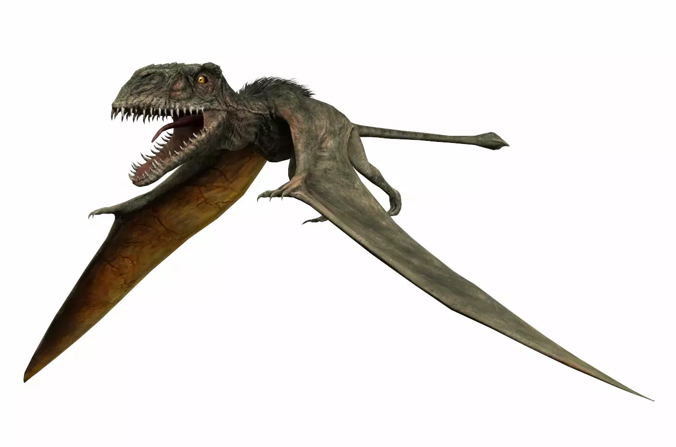 Dinosaur 41 Low-poly 3D model_0