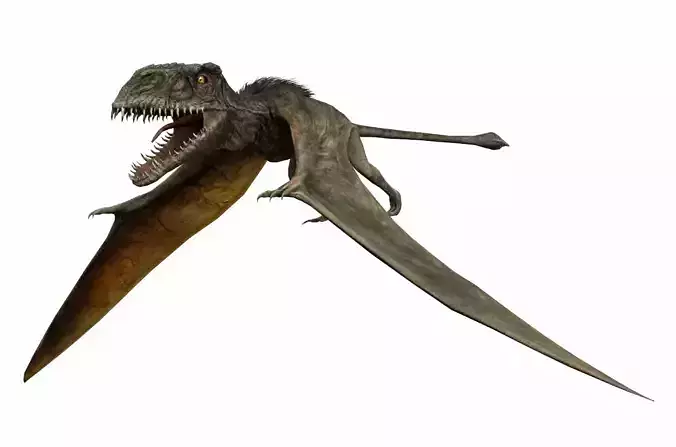 Dinosaur 41