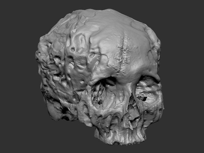 Skull Human 3D print model