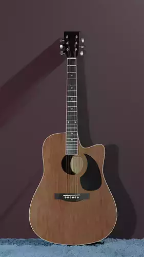 Acoustic guitar