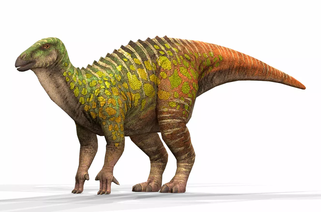 Dinosaur 53 Low-poly 3D model_0