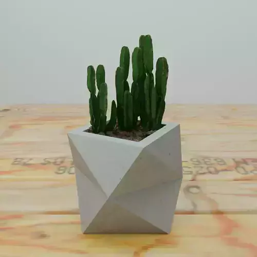 Concrete Planter Atria