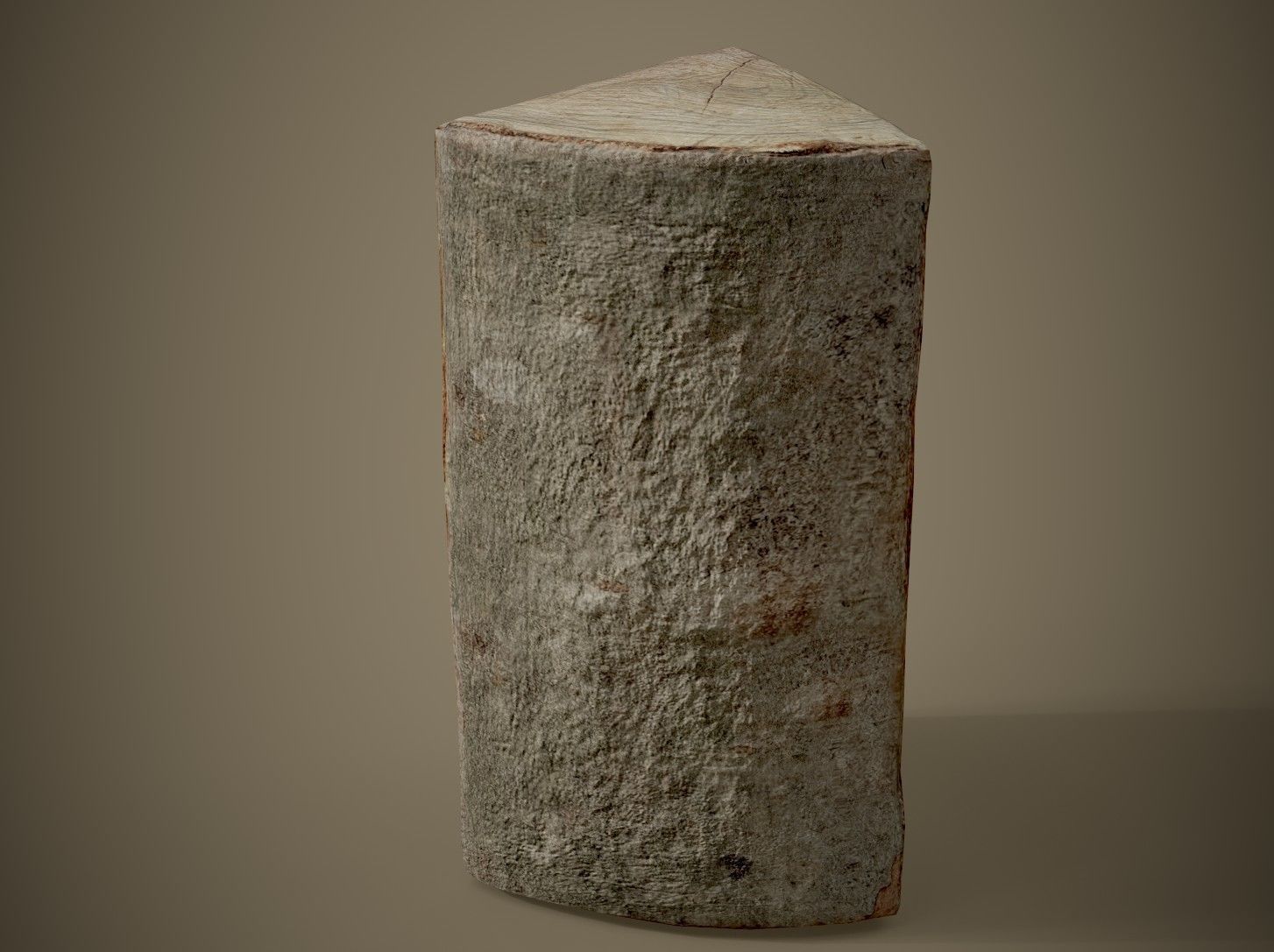 Realistic Wood Log Low-poly 3D model_3