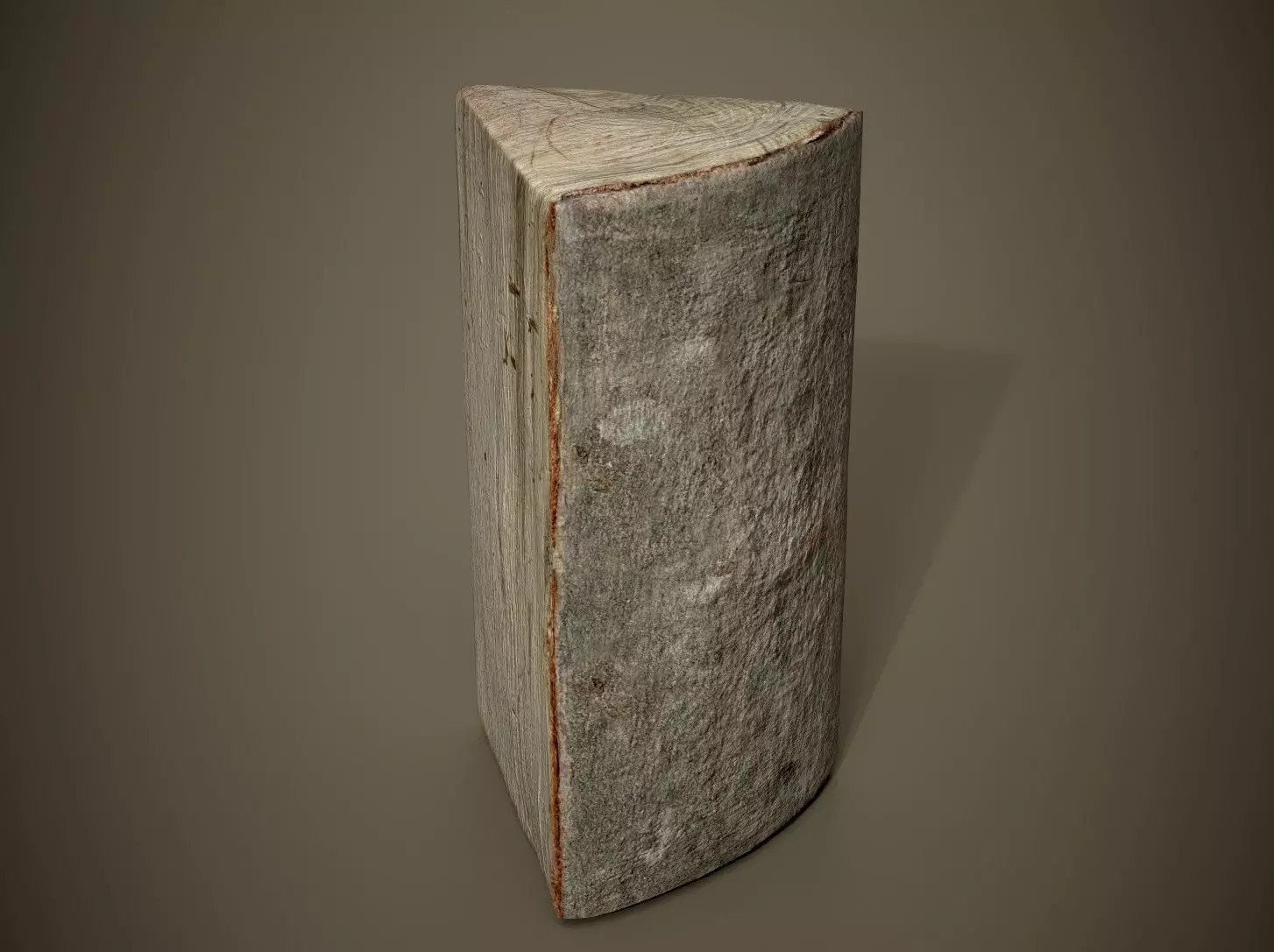 Realistic Wood Log Low-poly 3D model_0