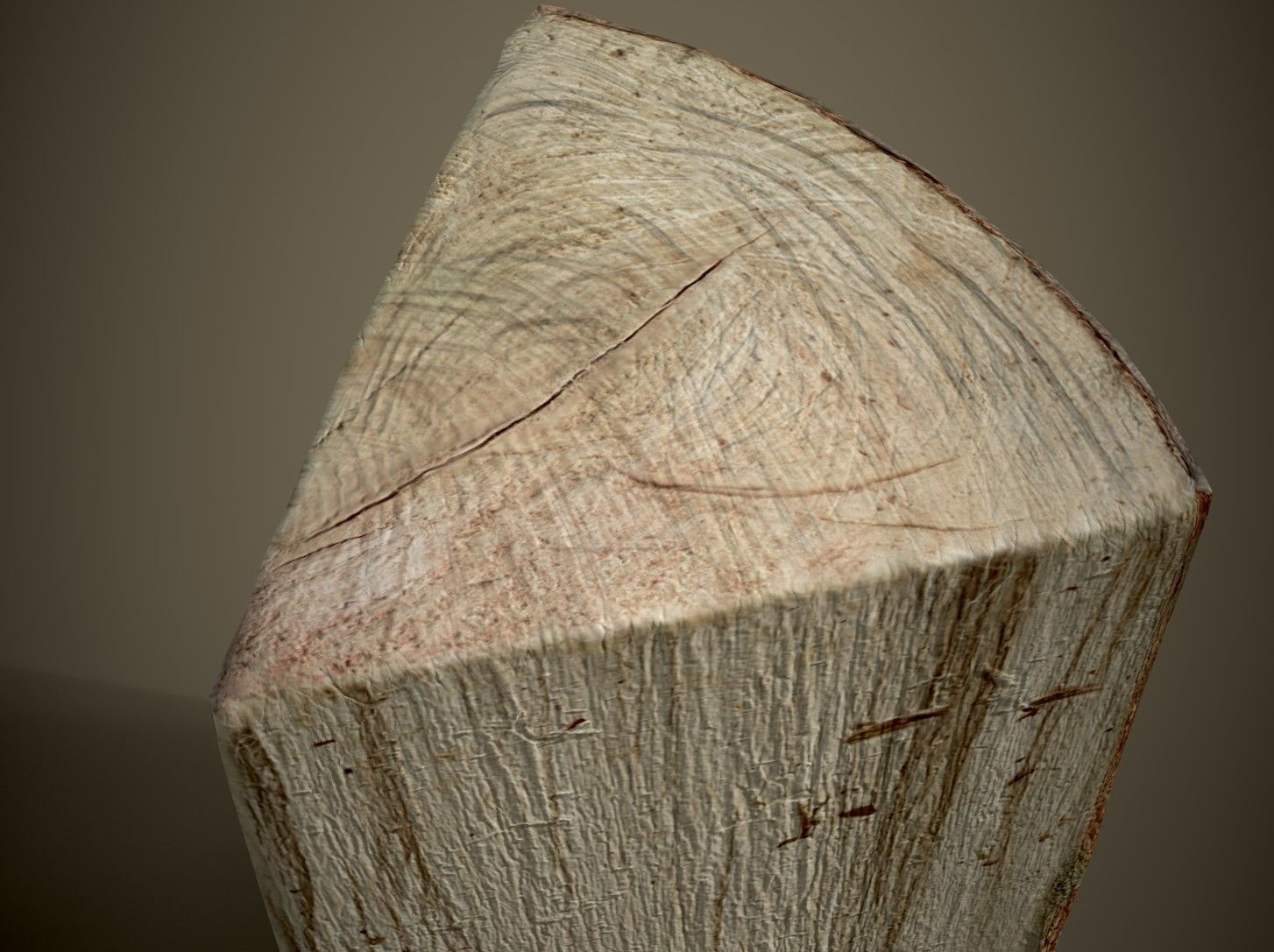 Realistic Wood Log Low-poly 3D model_1