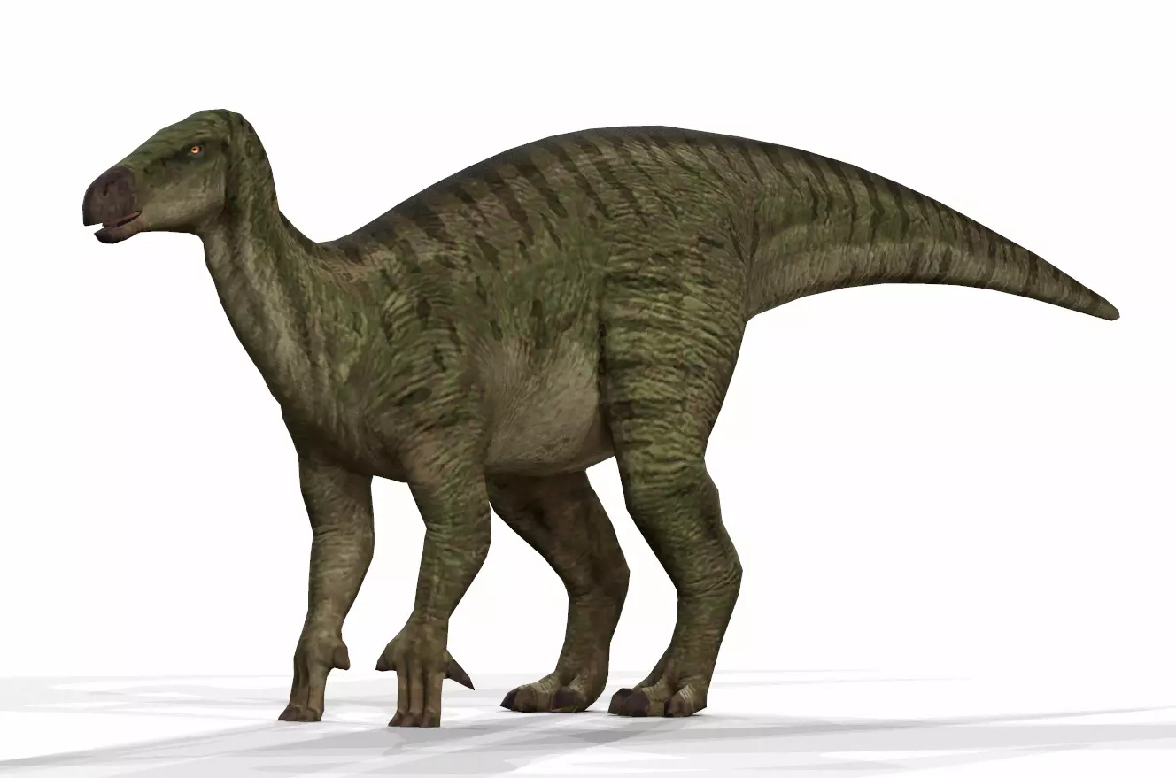 Dinosaur 72 Low-poly 3D model_0