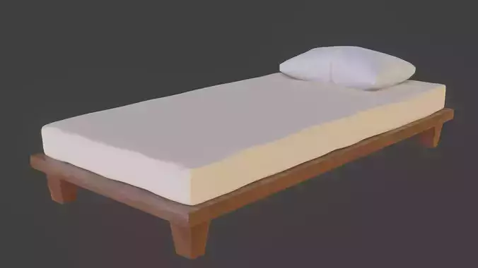 Single Bed with separate Pillow