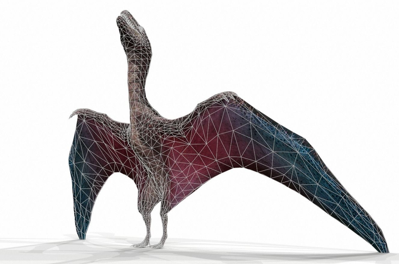 Dinosaur 79 Low-poly 3D model_1