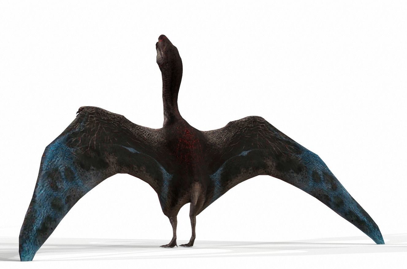 Dinosaur 79 Low-poly 3D model_2