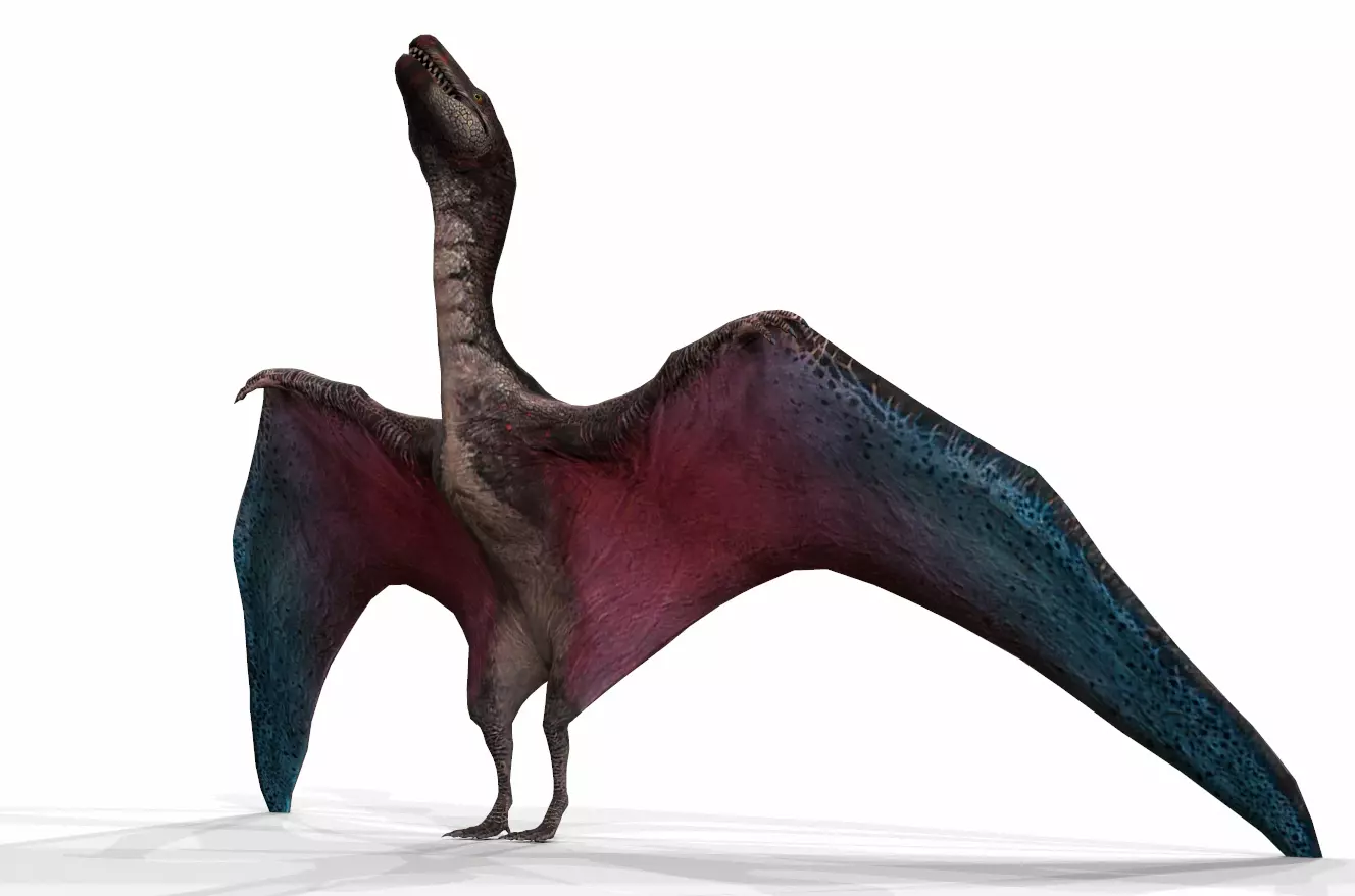 Dinosaur 79 Low-poly 3D model_0