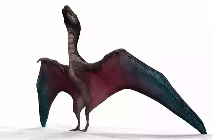 Dinosaur 79