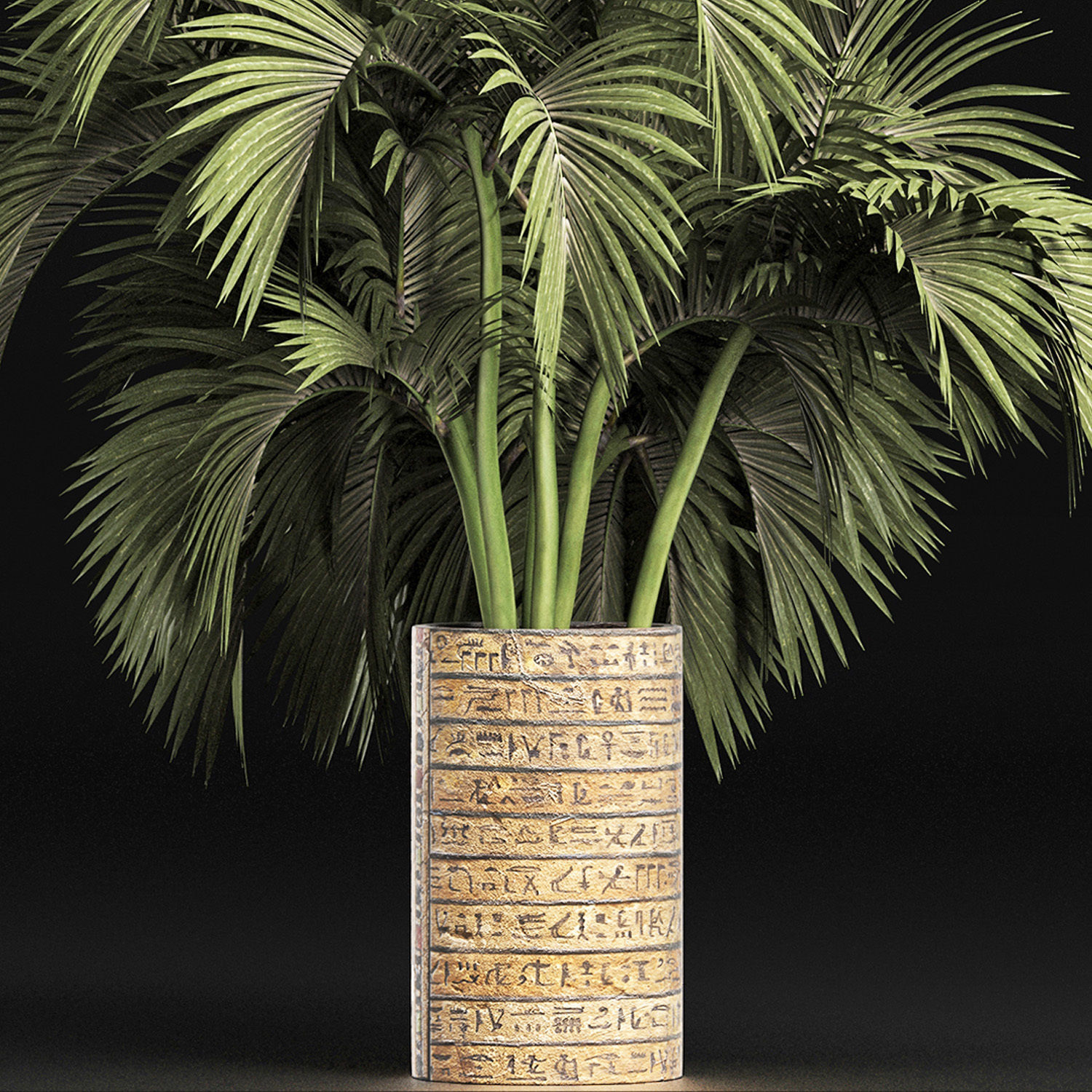 Plants Collection 163 Egyptian Palm 3D model_4