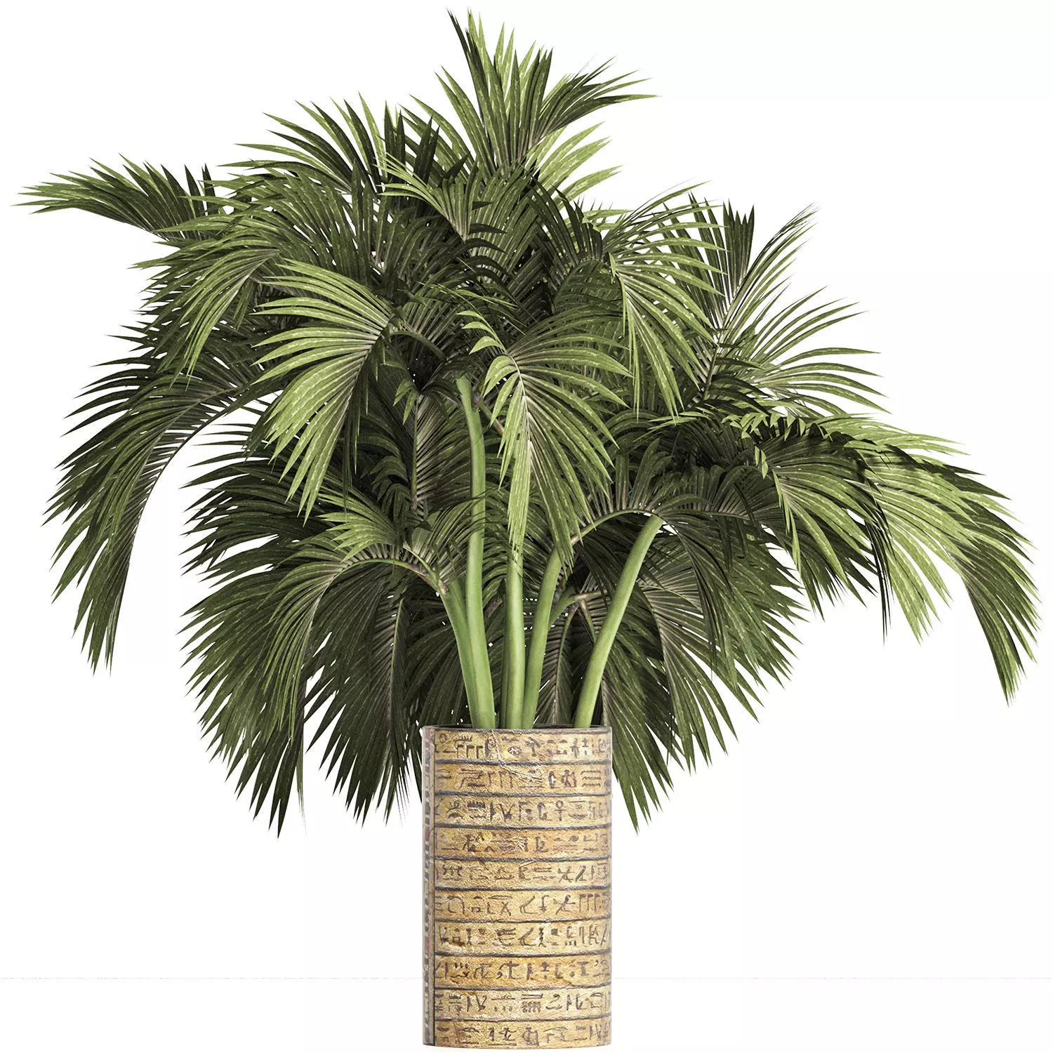 Plants Collection 163 Egyptian Palm 3D model_0