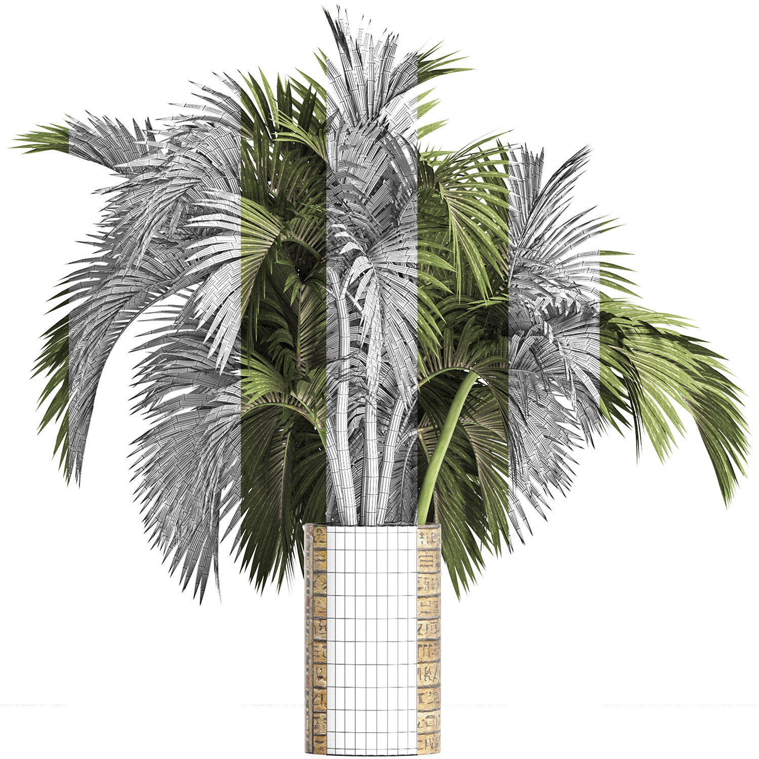 Plants Collection 163 Egyptian Palm 3D model_8