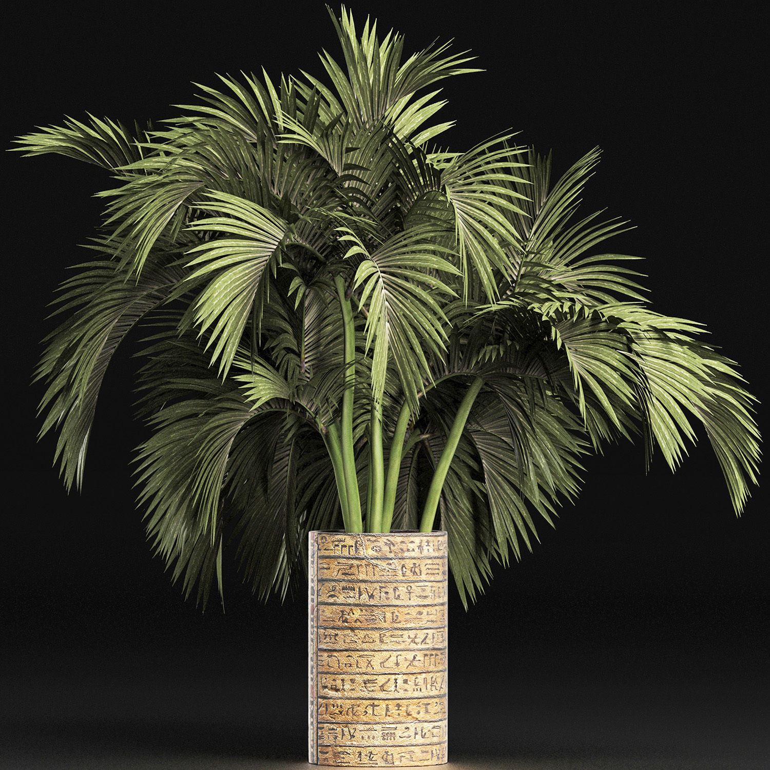 Plants Collection 163 Egyptian Palm 3D model_3