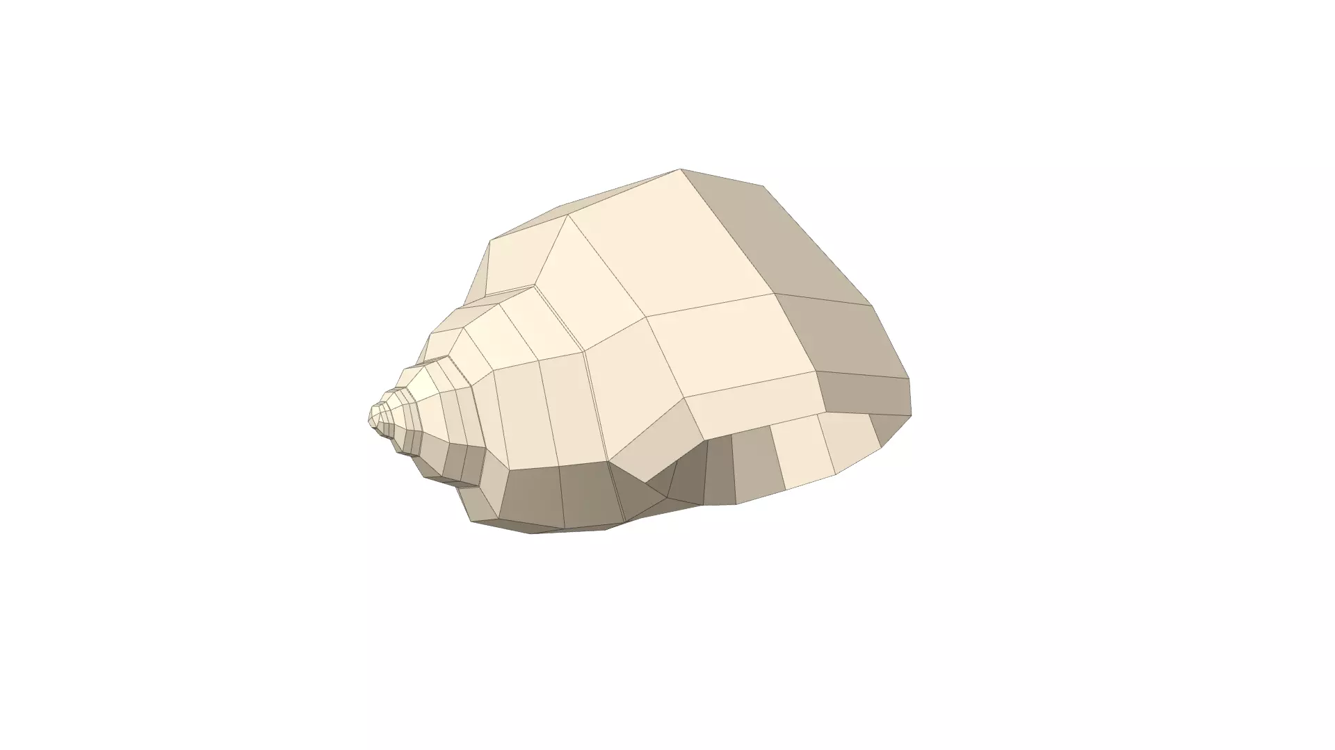 Shell geometry 3D model_0