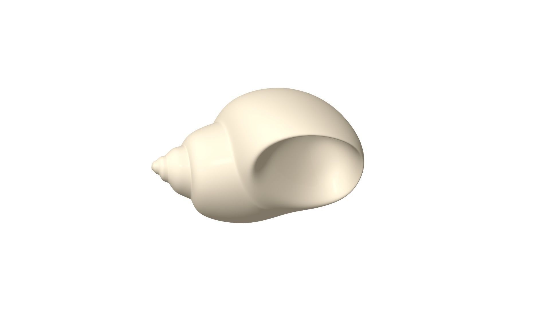 Shell geometry 3D model_10