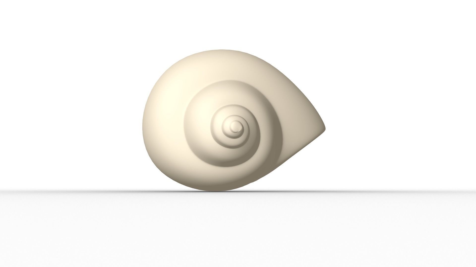 Shell geometry 3D model_6