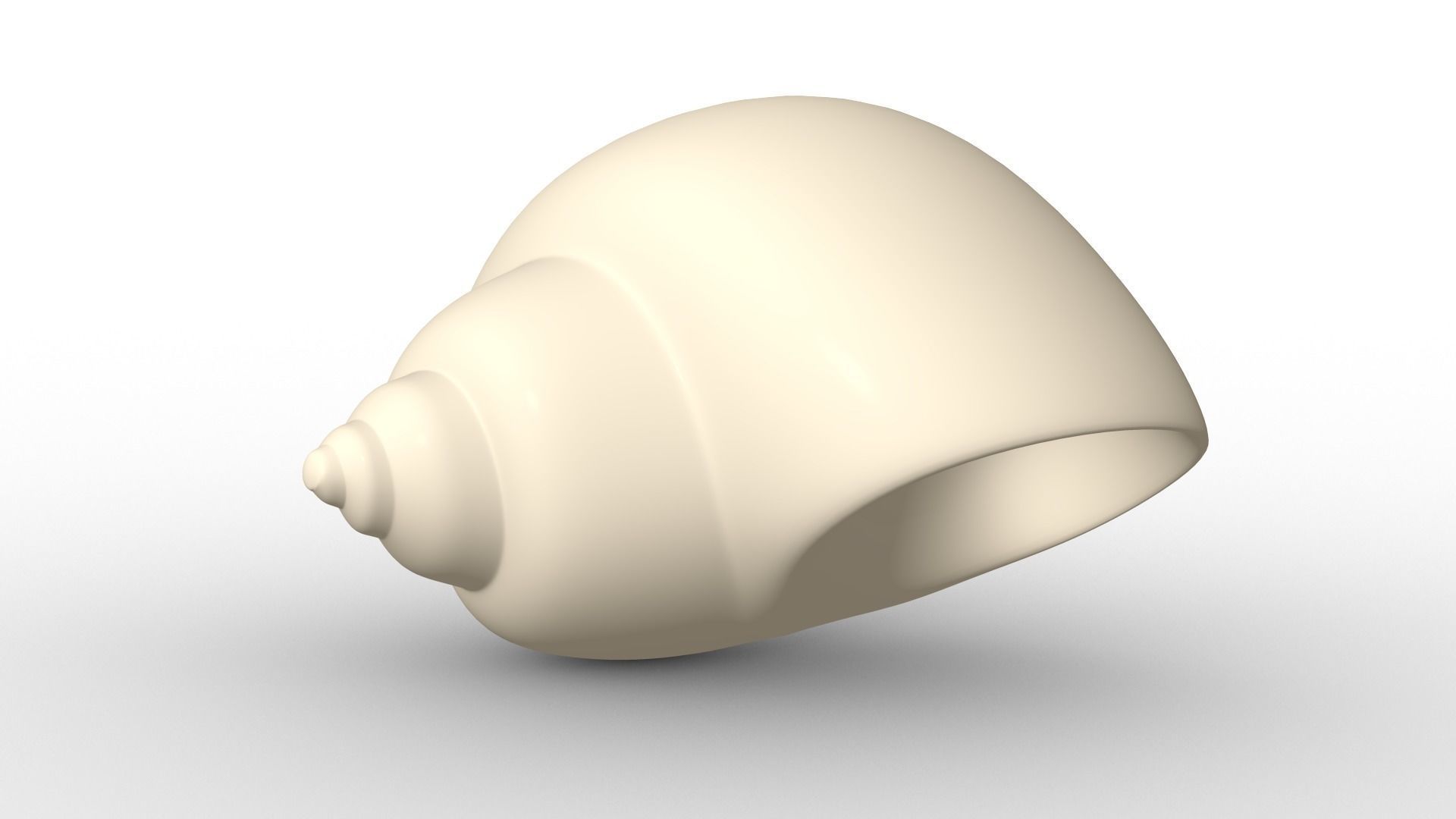 Shell geometry 3D model_2