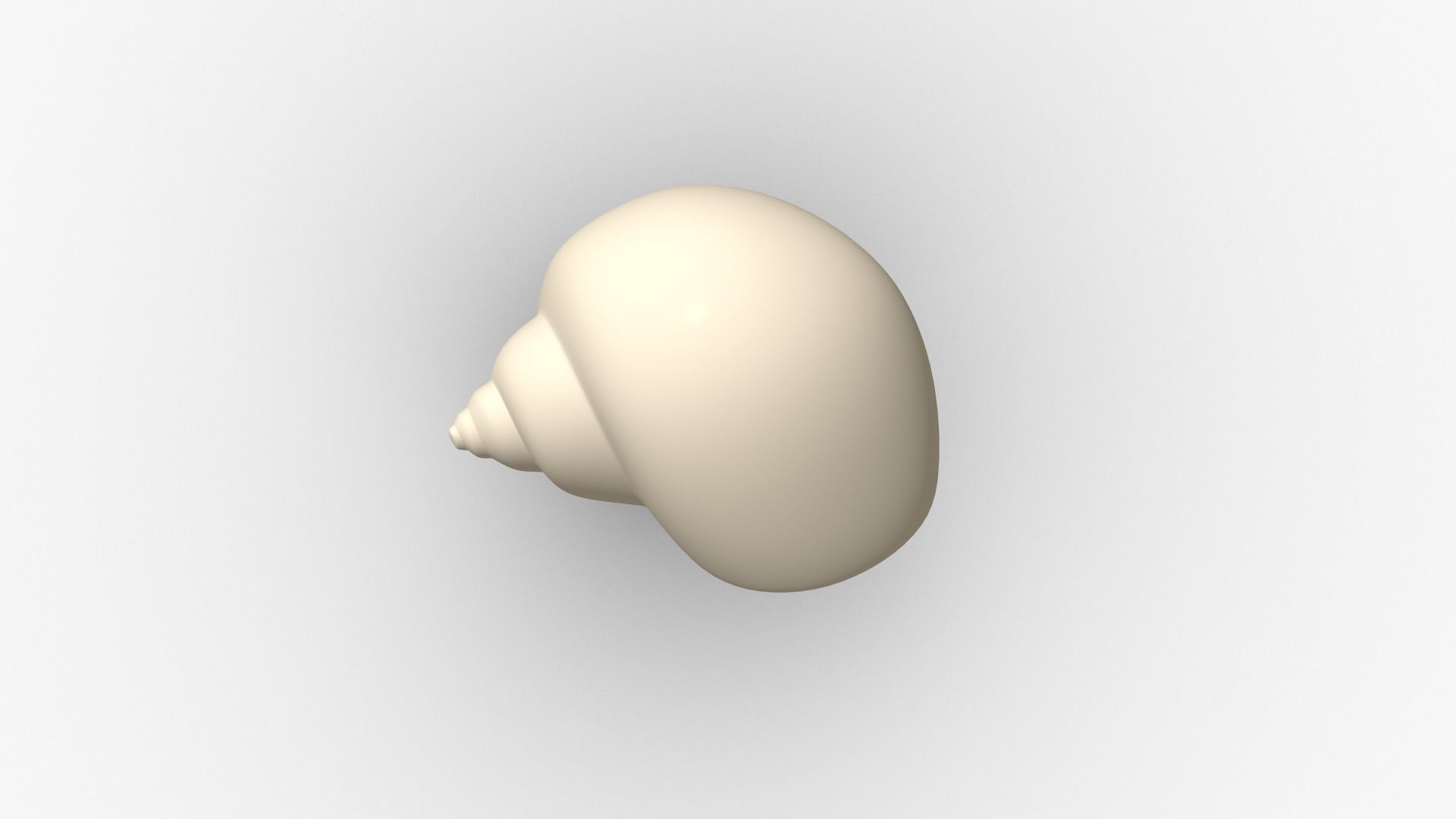 Shell geometry 3D model_8