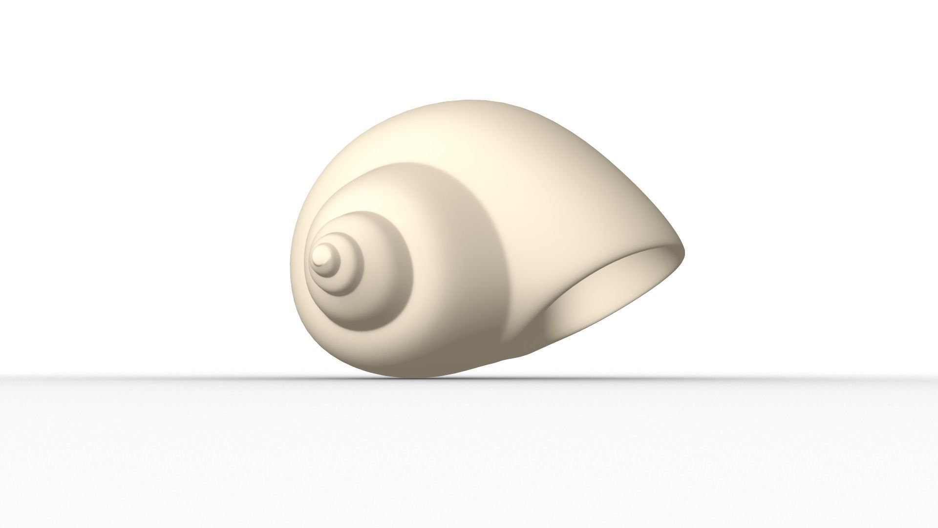 Shell geometry 3D model_4