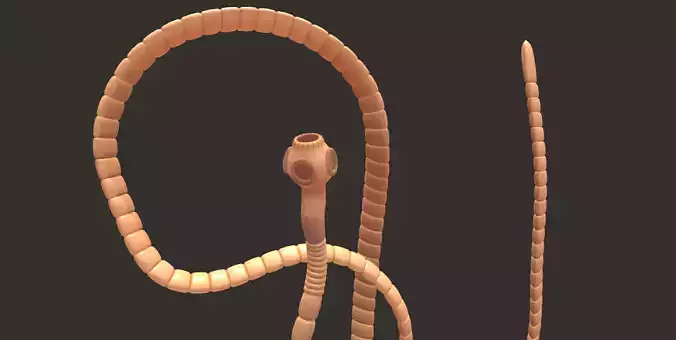 TapeWorm snake chain
