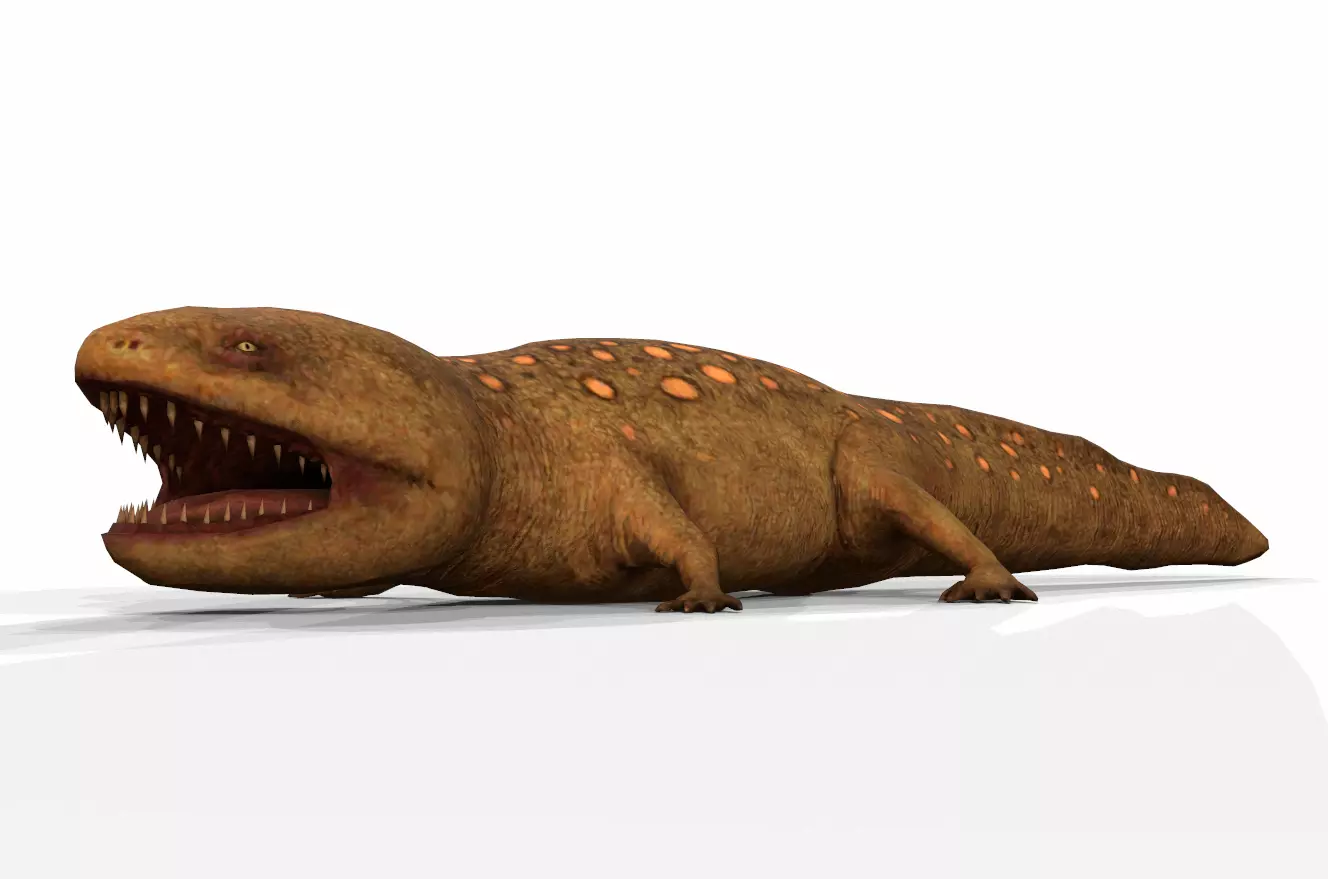 Dinosaur 81 Low-poly 3D model_0