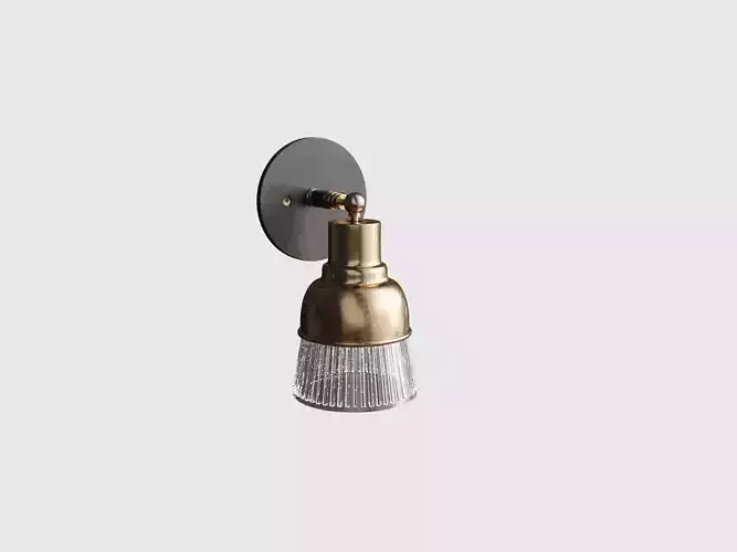 Spun Brass and Holophane Glass Armed Wall Light 3d model