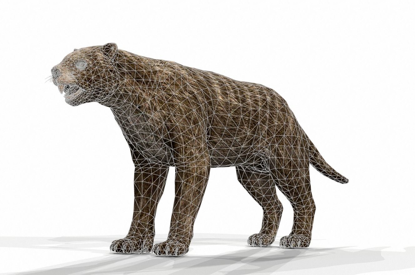 Dinosaur 86 Low-poly 3D model_1